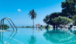 a swimming pool with a palm tree and a water slide at Saachi Lagoon Resort in Kalpitiya