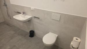 a bathroom with a toilet and a sink at Spacious Apartment for 8 Guests in Tuttlingen