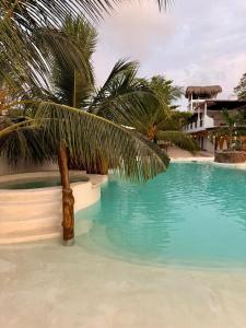 a palm tree sitting next to a swimming pool at Hotel Heliopolis in Coveñas