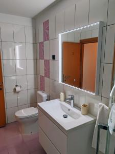 a bathroom with a sink and a toilet and a mirror at Roko Opaćac Veli IŽ,otok Iž in Veli Iž +35 photos