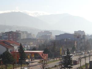 山景或在酒店看到的山景