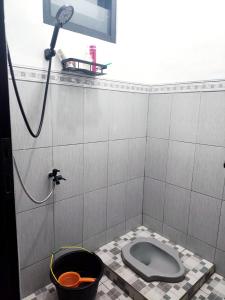 a bathroom with a shower and a toilet in it at Griya Alborz Dieng in Garung