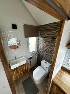 a small bathroom with a toilet and a sink at Beachfront Tiny House - Eden Pod with FREE Rowboat in Nathon Bay