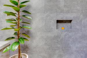 a plant in a bathroom with a concrete wall at Olala Suite Canggu Guesthouse in Canggu +17 photos