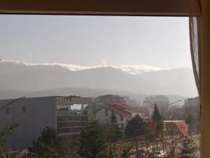 山景或在酒店看到的山景
