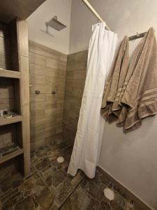a bathroom with a shower and towels on a wall at Casa de Chacha in Guanajuato +41 photos