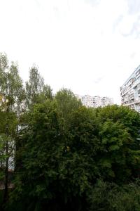 モスクワにあるBakuleva 6 Apartmentの大木前