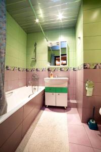 モスクワにあるBakuleva 6 Apartmentのピンクと緑の壁のバスルーム(シンク付)