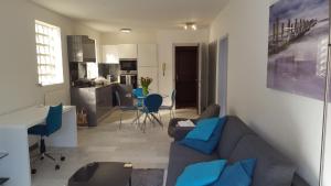 日内瓦格雷纳德公寓的客厅里有一张沙发和一个厨房