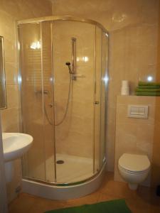 een badkamer met een douche, toilet en wastafel bij Apartament DOMINO in Karpacz +7 foto's