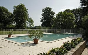 einen Pool in einem Garten mit Topfpflanzen in der Unterkunft Hostellerie de la Commanderie in Condat-sur-Vézère