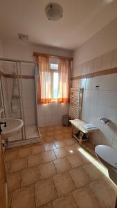 a bathroom with a sink and a shower and a toilet at Waldbothgut in Linz +19 photos