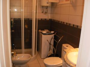 a bathroom with a shower and a toilet and a sink at Las Mimosas in Adeje