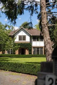 a house with a tree in front of it at Chestnut Tree Farm in Werai