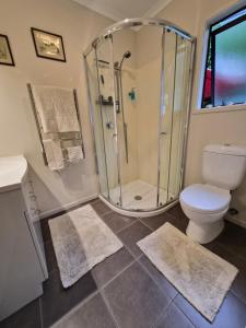 a bathroom with a shower and a toilet and rug at The Nest in Paihia