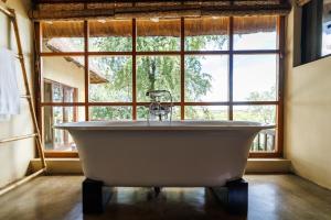 a bath tub in a room with a large window at Divava Okavango in Bagani +65 photos