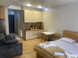 a bedroom with a bed and a couch and a kitchen at Cozy apartment Dvali in Bakuriani