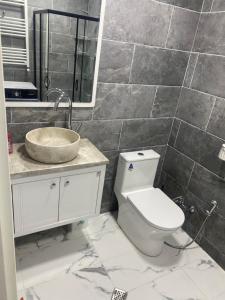 a bathroom with a toilet and a sink at Cozy apartment Dvali in Bakuriani