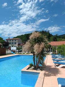 a palm tree sitting next to a swimming pool at La Taillade de Montségur location de Chalets en bois in Fougax-et-Barrineuf
