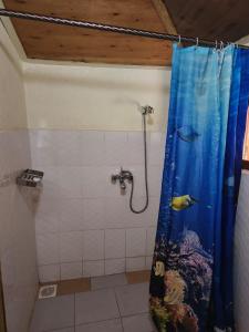 a bathroom with a shower with an aquarium in it at Mama Washindi Lodge in Pakwach East