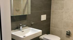 a bathroom with a sink and a toilet and a mirror at "The Freddie Mercury" Hotel in Montreux +30 photos