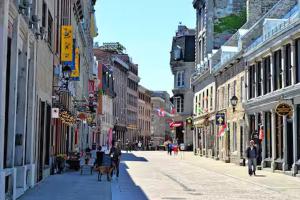 a city street with people and dogs walking down the street at Testing in Montreal