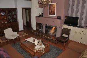 a living room with a fire in a fireplace at Vila Vasi- Μodern maisonette view Meteora in Kastraki