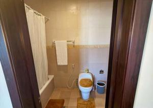 a bathroom with a toilet with the seat up at Luxury Oasis-May Real Estate Apartments in Addis Ababa