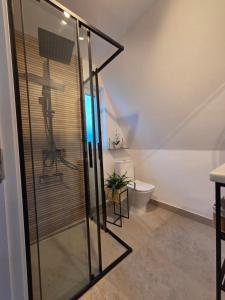 a glass shower in a bathroom with a toilet at REIA A-frame in Gura Râului +23 photos