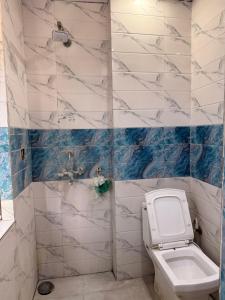 a bathroom with a toilet and a shower at Cozy Inn Hostel in New Delhi +27 photos