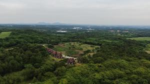 an aerial view of a forest with a train at Sumang Pension in Seogwipo
