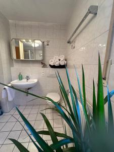 a bathroom with a sink and a toilet and a mirror at An der Elbe in Bad Schandau +39 photos