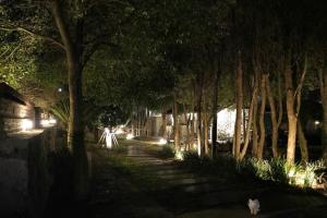 a cat walking down a path with trees at night at Stay Aeok Jeju in Seogwipo +6 photos