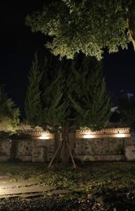 a tree in front of a wall at night at Stay Aeok Jeju in Seogwipo
