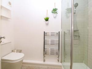 a bathroom with a toilet and a shower with potted plants at 27 Kingshead Street in Pwllheli +12 photos