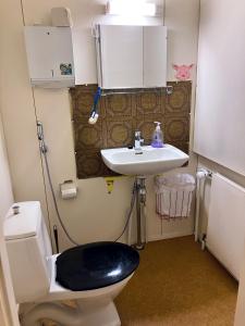 a bathroom with a toilet and a sink at Villa Högbo in Iniö