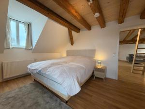 a bedroom with a large bed in a attic at Schloss Espasingen Apartment 4 in Stockach