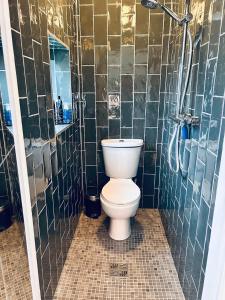 a bathroom with a toilet and a shower at Follies Garden Studio in Dungarvan