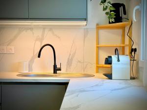a kitchen counter with a sink and a toaster at La salamandre bleue : 4 pers piscine à Calvisson in Calvisson