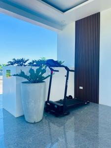 a bird sitting on a treadmill next to a potted plant at The Penthouse With Outdoor Jacuzzi Private Rooftop Solar Powered Energy in Puerto Princesa City