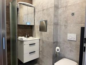a bathroom with a toilet and a sink and a mirror at Pension Berlin in Cheb