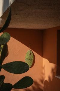 a room with a potted plant and a sign that says danger at Paradise Relais Villa Janto' in Casamicciola Terme