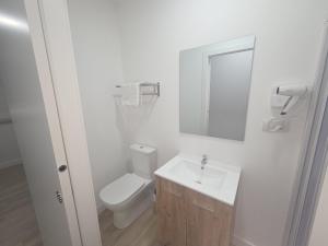a bathroom with a toilet and a sink and a mirror at Hostal NV Palacio Congresos in Málaga
