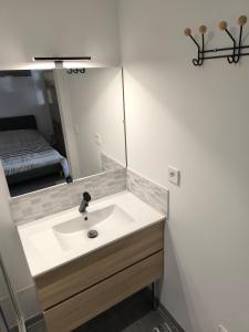 a bathroom with a sink and a mirror at Studio cosy proche bourg et plages tout équipé in Plouhinec +36 photos