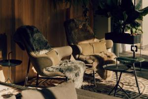 two chairs and a dog in a room at The Cambrian in Adelboden