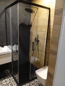 a shower in a bathroom with a toilet and a sink at Baltic Park in Rozewie