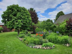 a garden with flowers and a tree in a yard at Ferienwohnung im Spreewald - Natur Pur in Lübben