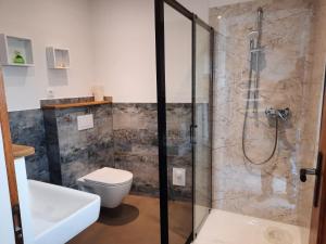 a bathroom with a shower with a toilet and a sink at Kastanienhof Lübben in Lübben