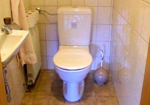 a bathroom with a white toilet and a sink at Gästehaus Erlhof in Schiefling am See