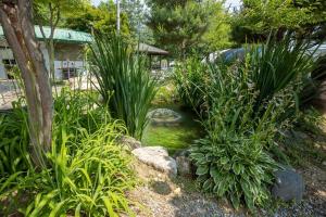 a garden with green plants and a pond at Glamdog - Gapyeong in Gapyeong